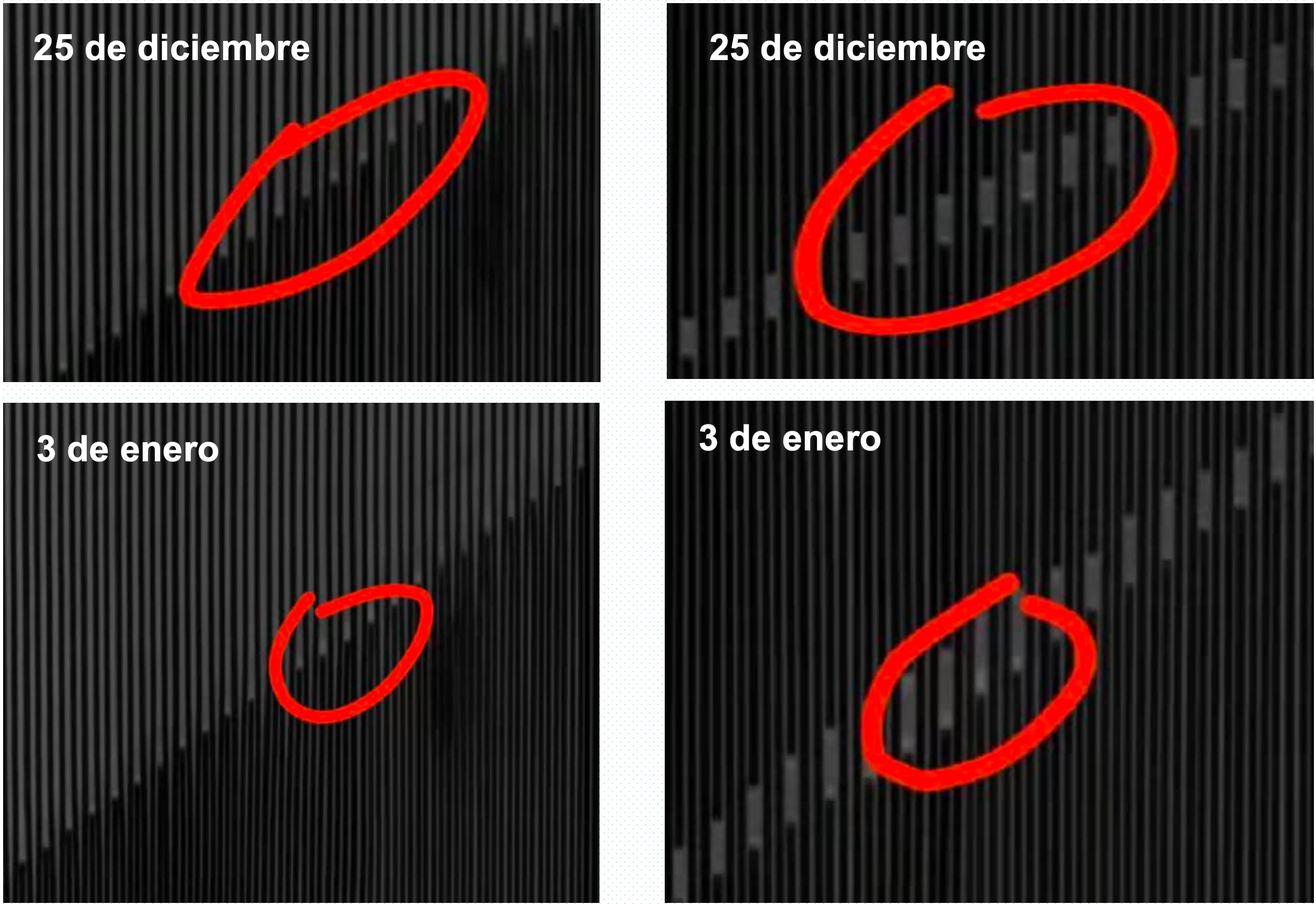 Servicio de detección periódica
